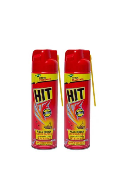 Insect killer spray for effective pest control"